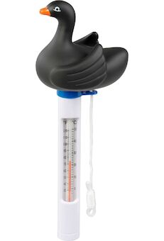 Strend Pro 246464 Teploměr plovoucí, Černá labut, bazénový