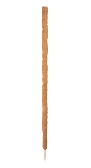 Strend Pro Garden 2110260 GreenGarden COCO, 4,5x60 cm, kokos tyč opětná pro rostliny