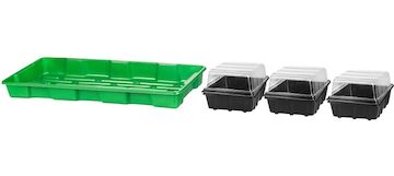 Strend Pro Garden 255285 Minipařeniště Herrison P2005, 3 sazenice, 57x24,5x13,5 cm