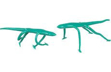 Strend Pro Garden 215952 Paska vazaci , na rostliny, 150 mm, bal. 2 ks